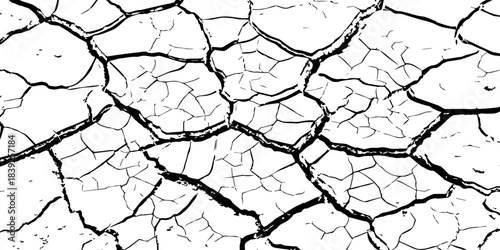 High-resolution cracked dry soil texture with intricate fracture patterns, natural organic lines, monochrome design ideal for backgrounds, geology themes, environmental concepts and compositions.