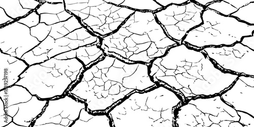 High-resolution cracked dry soil texture with intricate fracture patterns, natural organic lines, monochrome design ideal for backgrounds, geology themes, environmental concepts and compositions.
