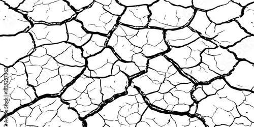 High-resolution cracked dry soil texture with intricate fracture patterns, natural organic lines, monochrome design ideal for backgrounds, geology themes, environmental concepts and compositions.