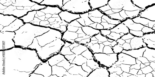 High-resolution cracked dry soil texture with intricate fracture patterns, natural organic lines, monochrome design ideal for backgrounds, geology themes, environmental concepts and compositions.