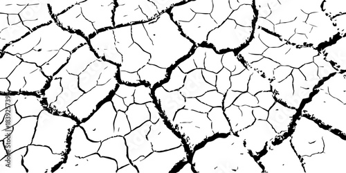 High-resolution cracked dry soil texture with intricate fracture patterns, natural organic lines, monochrome design ideal for backgrounds, geology themes, environmental concepts and compositions.