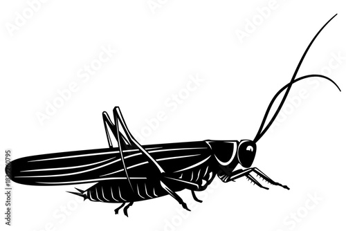 Elegant Cricket and Grasshopper Silhouette Vector Illustration. Detailed Insect Art for Wildlife and Nature Themes, Perfectly Isolated on a Pristine White Background, for Your Creative Projects