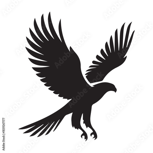 black and white eagle vector illustration
