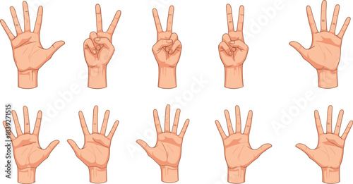 A diverse vector collection of ten realistic human hands in various poses, including an open palm, waving, and two fingers raised for peace sign or victory gesture