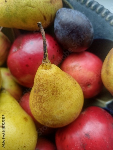 Apples, pears and plums in a plate.