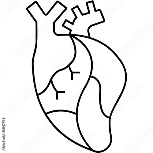 black outline heart anatomy clip art preview
