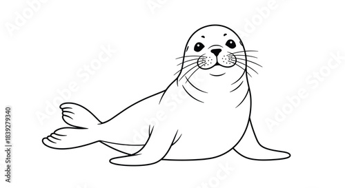 Simple outline drawing of a cute seal resting on its belly with its tail flippers out.