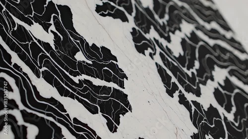 In this intriguing video, abstract black and white patterns unfold, creating a mesmerizing display of fluid lines and shapes. The captivating visuals invite viewers to explore the beauty of contrast a