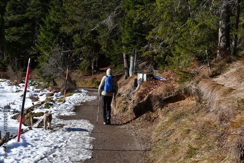 Mann und sein Lagotto Romagnolo Hund wandern bei Mösern in Tirol