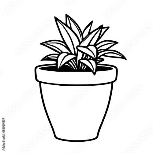 Detailed clay plant pot, black line art, white bac
