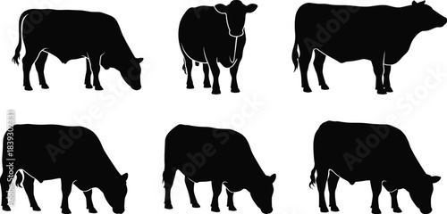 Six black cow silhouettes in various grazing and standing poses on white background cattle