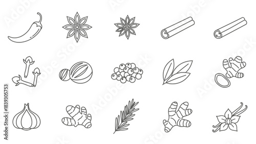 Minimalistic Line Art Illustration of Various Spices and Herbs for Culinary and Wellness Use