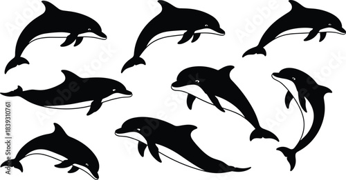 Beautiful dolphin silhouette collection showing playful marine animals in various swimming poses, perfect for ocean wildlife illustrations, aquatic designs, and creative artwork.