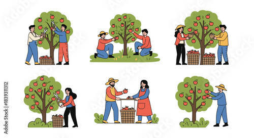 Set of six scenes showing people harvesting red apples from trees in an orchard during the autumn season. The design is very nice.