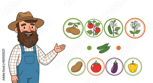 A friendly farmer presents a matching game with vegetables and their plants like potatoes tomatoes and cucumbers for kids.