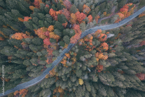 Aerial landscape over a winding road, in autumn colors