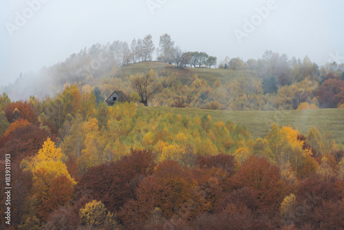 Autumn landscape at the foot of the Carpathian Mountains. A countryside foggy scene in Transylvania