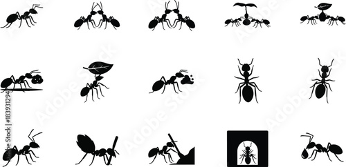 Collection of various ant silhouettes in different poses and movements