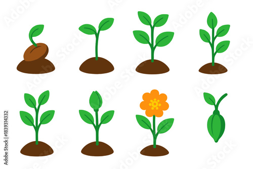 Plant Growth Icons. Plant Growth Stages isometric flat set: seed, sprouting seedling, young plant, mature stem, budding branch, flowering bloom, pollinated flower, seed pod.