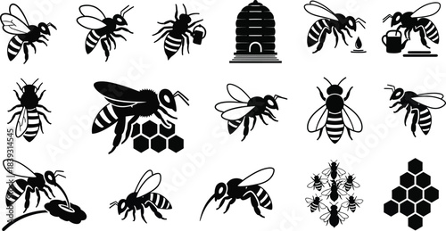 Collection of black and white bee illustrations and hive icons