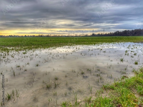 Champ inondé après la pluie 