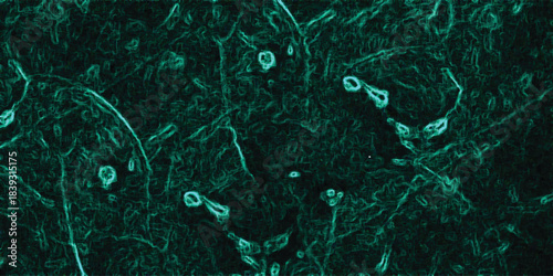 Deep teal abstract texture with intricate organic patterns and glowing cyan outlines creating a futuristic and technological feel