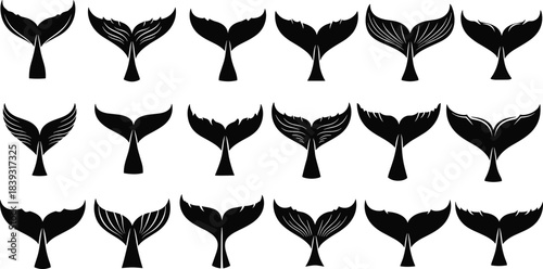 Whale tail silhouette collection featuring diverse fin shapes, stylized splashes, ocean-themed marine designs for nautical artwork, crafting projects, prints, and creative illustrations
