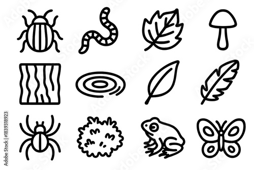 Backyard Nature Icons. Backyard Nature Discovery linear set: garden beetle, earthworm, fallen leaf, tiny mushroom, tree bark texture, puddle ripple, seed pod, bird feather, garden
