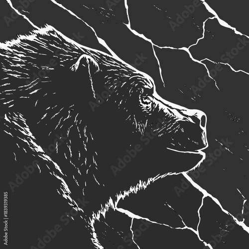 vector illustration of a wolf