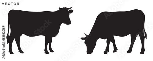 Cow vector silhouette icon set, Cow logo vector illustration on white background
