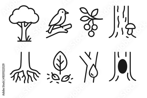 Tree Ecosystem Icons. Tree-Based Ecosystem Roles linear set: canopy shade, nesting branch, fruit provider twig, bark shelter, root soil anchor, leaf nutrient fall, sap flow icon,