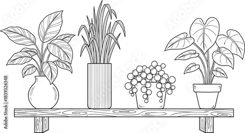 Hand drawn vector set of potted houseplants on shelf, black outline sketch of nature elements for home interior decoration design.