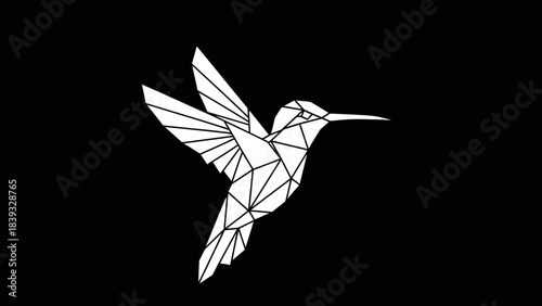 vector silhouette of a bird