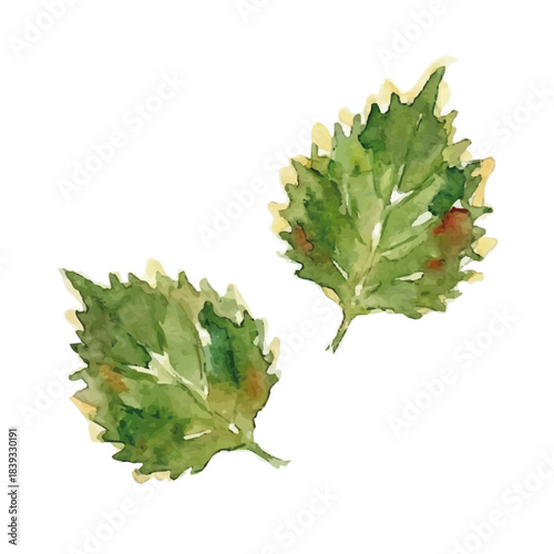 Watercolor-style tempura illustration／天ぷら