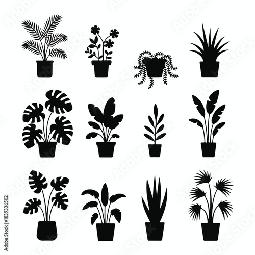 Minimalist black-and-white houseplant silhouette collection, nine mature indoor plants in geometric pots, sharp contrasts, clean lines, balanced composition, modern botanical decor illustration.
