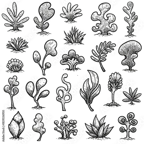 A curated vector collection of hand-drawn rough brush stroke leaves and diverse organic doodle elements, ideal for natural and abstract design compositions