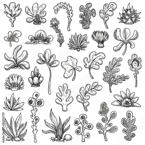 Discover a group of unique vector illustrations featuring abstract plant shapes, hand-drawn in a distinctive sketchy doodle style, ideal for organic nature and fantasy designs