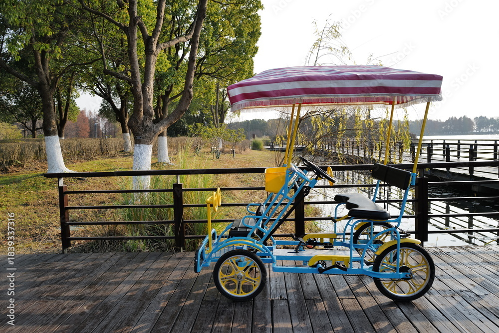 Fototapeta premium old fashioned carriage