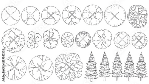 Garden Layout CAD Trees, Top View Vector Elements for Landscape Planning