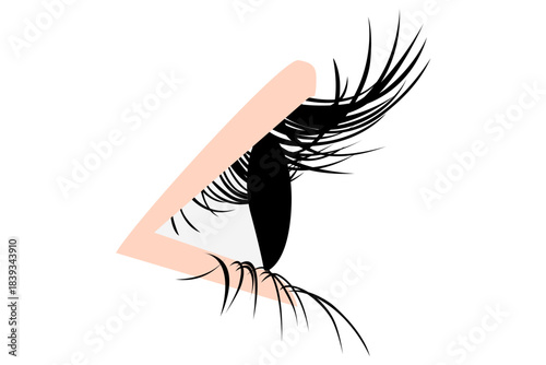 横顔のまつげラインイラスト｜女性の目元シルエットのベクター素材