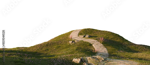 Winding stone path through grassy hills. 3D rendering.	
