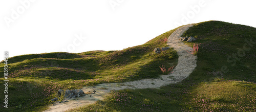 Winding stone path through grassy hills. 3D rendering.	
