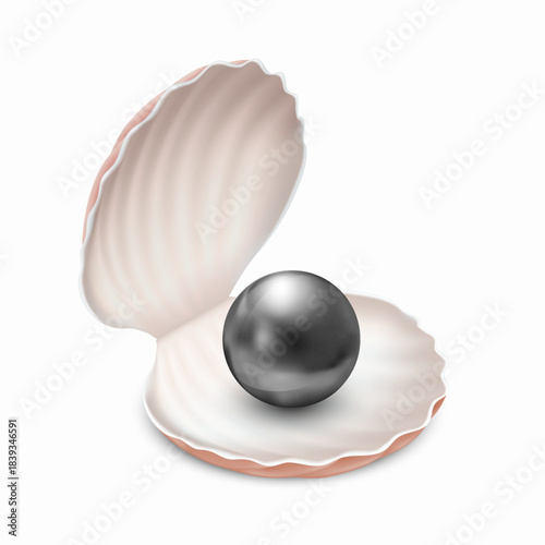 Black pearl in an open oyster sea shell. Isolated on white background. Vector illustration.