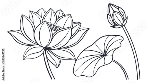 Elegant Lotus Flower, Bud, and Leaf Line Art Illustration in Black and White Outline for Botanical Design Elements