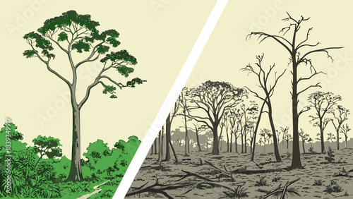 Deforestation and Reforestation Contrast: Lush Green Forest vs. Barren Land with Dead Trees. Environmental Impact Illustration.