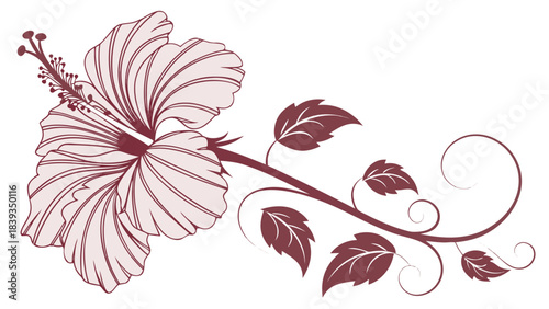 Elegant Monochromatic Hibiscus Flower Vector Illustration with Swirling Botanical Vine and Leaves; Decorative Tropical Bloom Graphic Element