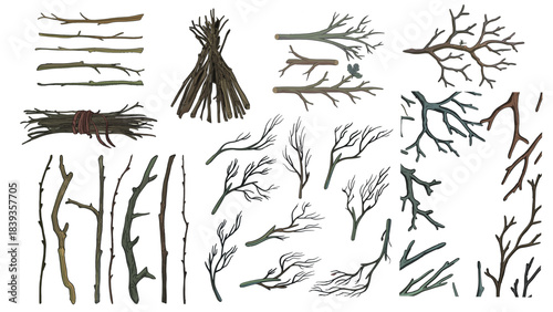 Different types of bare and winter branches separated. Vector, winter concept illustration