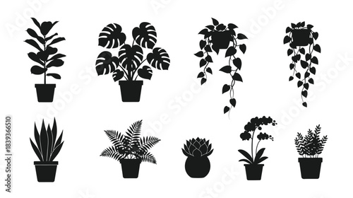 A collection of various potted indoor plants in a black silhouette style