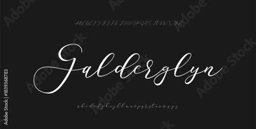 A refined, flowing script font with elegant loops and a luxurious handwritten feel.