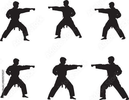 Silhouettes of martial artists performing karate stances and punches 